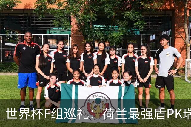 世界杯F组巡礼：荷兰最强盾PK瑞典犀利刀 日本短板明显