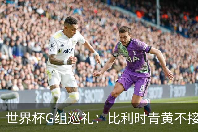 世界杯G组巡礼：比利时青黄不接 伊朗赴美参赛风波不断