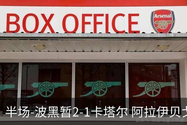 半场-波黑暂2-1卡塔尔 阿拉伊贝戈维奇世界波破门哲科造乌龙