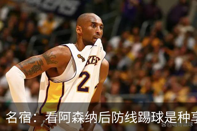 名宿：看阿森纳后防线踢球是种享受