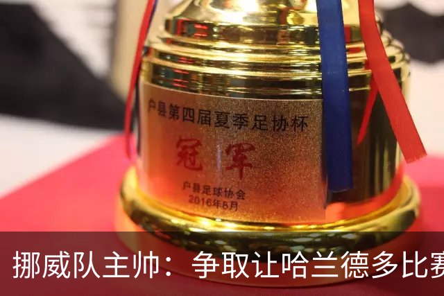 挪威队主帅：争取让哈兰德多比赛 他是世界上最好的前锋之一