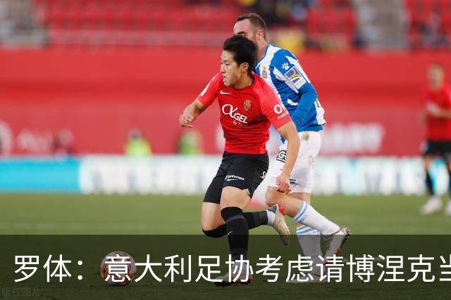 罗体：意大利足协考虑请博涅克当技术总监，马尔蒂尼也是候选人